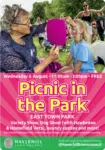 poster for picnic in the park
